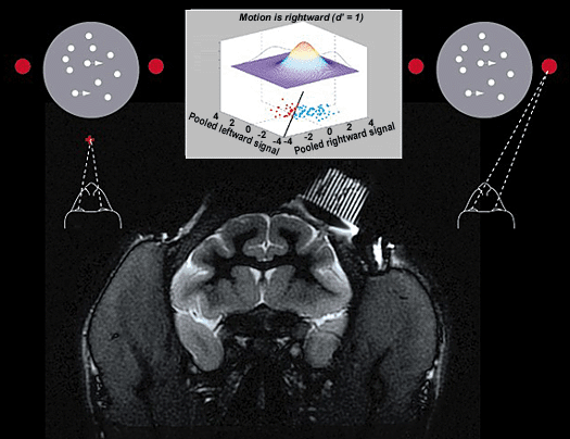 Figure 1: Neural signals and the decision about direction of motion...